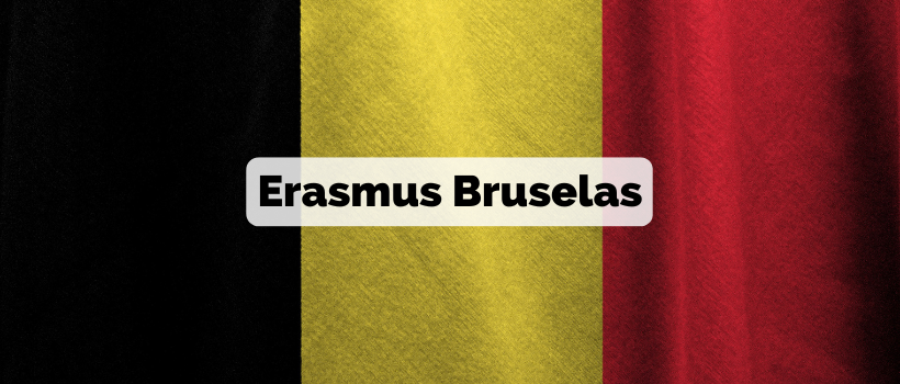 erasmus en bruselas guia para estudiantes